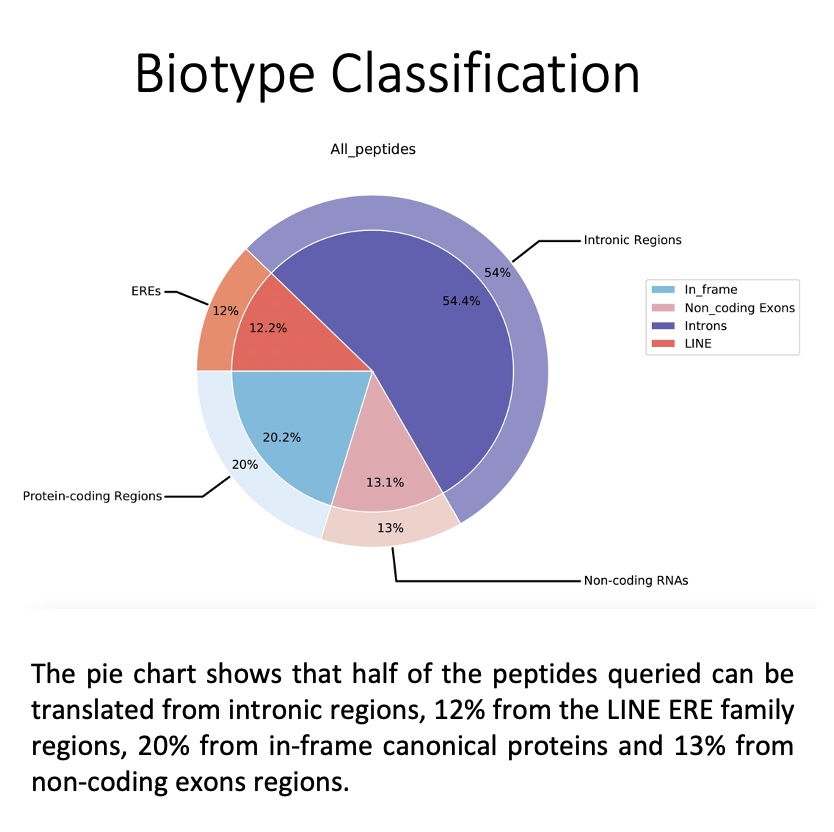 Biotype based on transcription